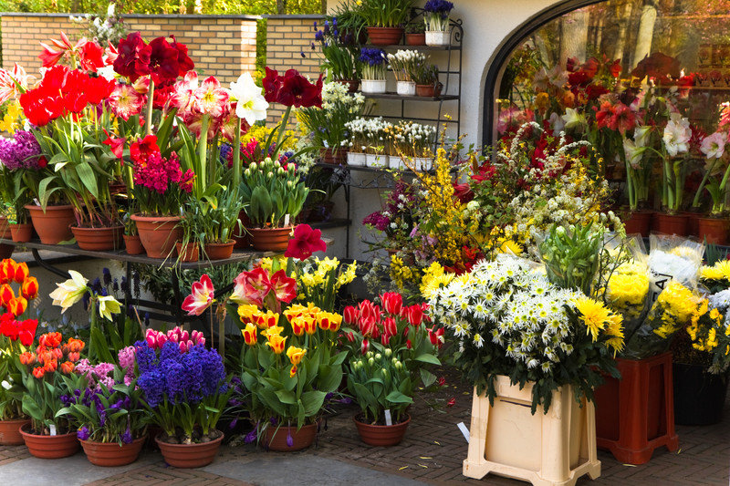 florist st petersburg fl
